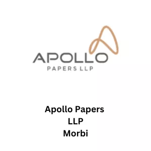 Gayatri shakti paper and board Pvt Ltd Vapi (17)